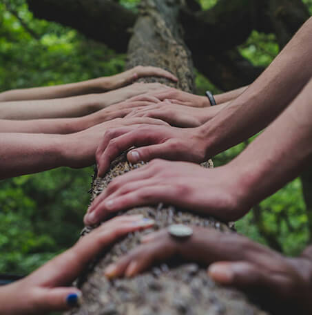 Environmentally Friendly