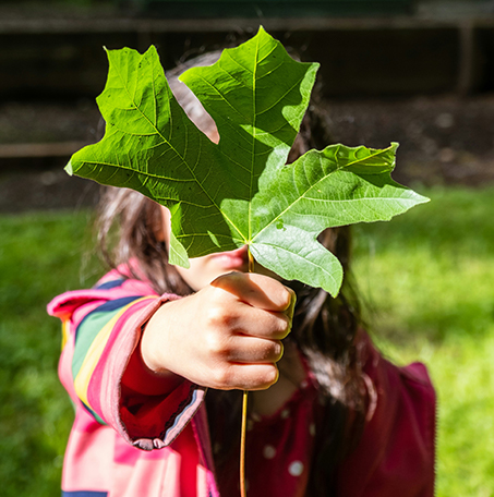 Social Co-construction