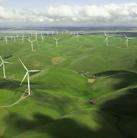 Harmonious Development