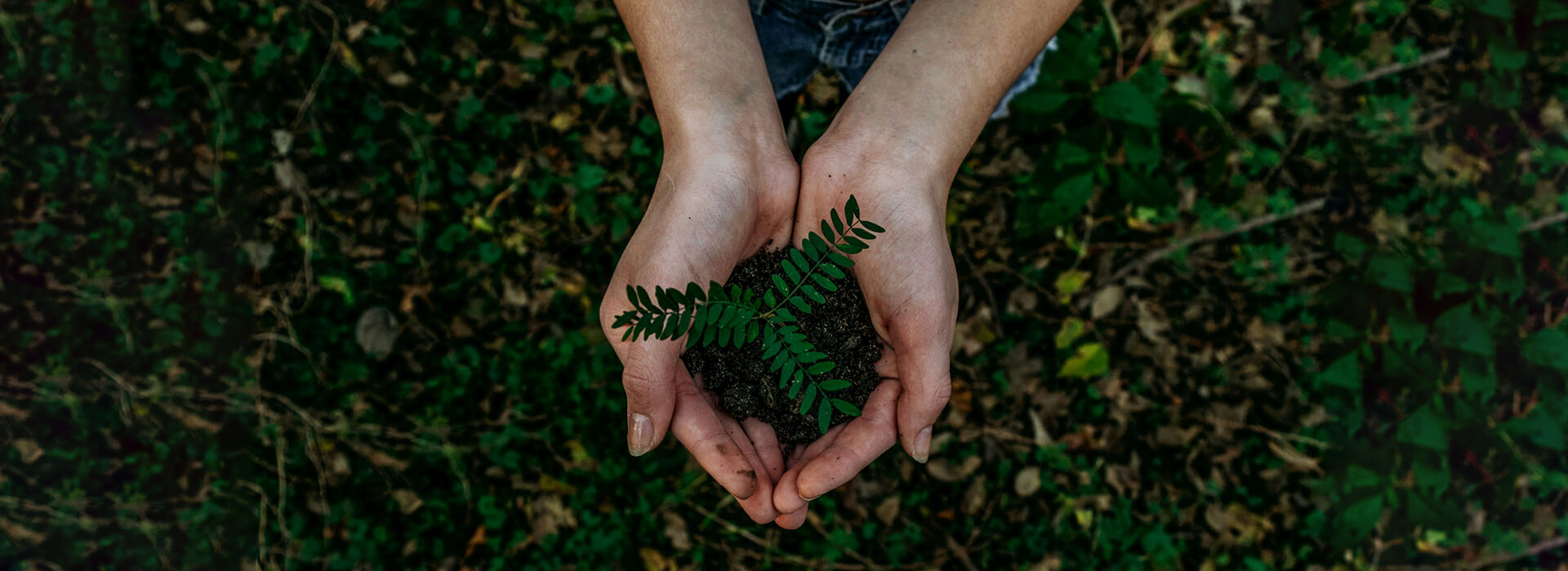 Assisting Public Welfare